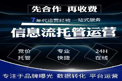 谷歌竞价广告在电商行业的运用案例